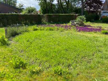Hier wird es bald sprie&szlig;en: Das sommerliche Wildblumenbeet im hinteren Garten