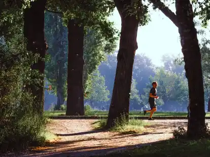 Auf seine Grenzen achten, das gilt auch beim Sport. Wer diese nicht kennt, kann gerade in sommerlicher Hitze den Kreislauf &uuml;berfordern und zusammenbrechen.