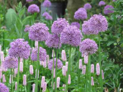 Garten Landidyll in Friedeburg wird an Pfingsttagen