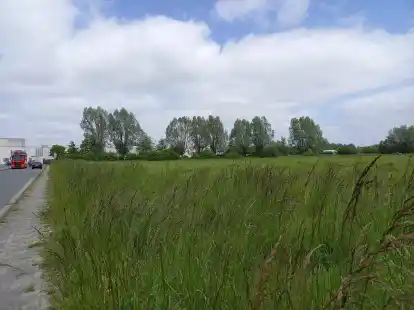 Gleich hinter dem Dollart-Center wird der neue Blumen- und Pflanzenmarkt er&ouml;ffnen.