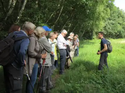 Das Poggenpohlsmoor: Auch hier befinden sich Lebensr&auml;ume, die im Biotopverbund-Konzept dargestellt werden k&ouml;nnten (Archivbild).