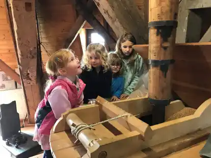 Staunen am Mahlwerk: Feemke Janssen (7), Karla Scholz (5) sowie Anna (5) und Leonie Habben (8) in der Larrelter M&uuml;hle.