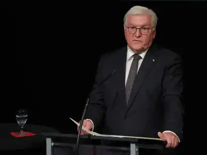 Bundespr&auml;sident Frank-Walter Steinmeier spricht bei der Gedenkfeier zum 30. Jahrestag des Solinger Brandanschlags.