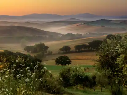 Landschaften wie gemalt: Eine neue Ausstellung beim OKK zeigt auch Bilder der Wittmunderin Sabine Stenzel.