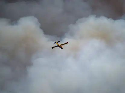 Spanien war in diesem Fr&uuml;hjahr au&szlig;ergew&ouml;hnlich stark von Waldbr&auml;nden betroffen.