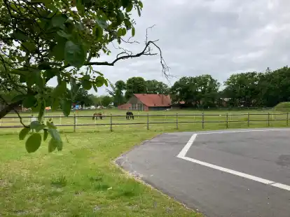 Noch grasen hier die Pferde: Bald sollen auf dem etwa 9500 Quadratmeter gro&szlig;en Grundst&uuml;ck am Ortseingang Kirchhattens die Bauarbeiten f&uuml;r das neue Feuerwehrhaus beginnen.