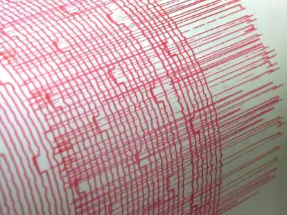 Ein Monitorschreiber zeichnet die Ersch&uuml;tterungen eines Erdbebens auf. (Symbolbild)