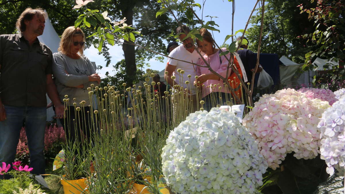 Garten & Ambiente in Nordenham wieder ein voller Erfolg