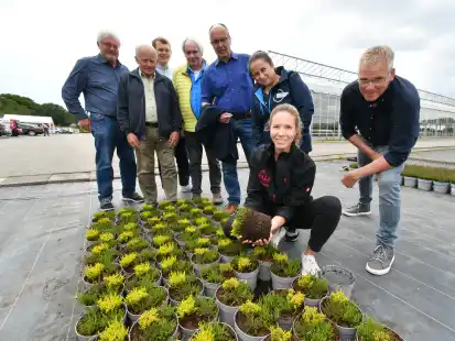 Zu Gast bei den „Gardengirls“: Carolin Melle zeigt ihren Gästen von der Ganderkeseer CDU eine der bunten Heidesorten.