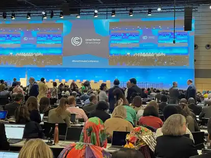 In Bonn haben sich Delegierte aus aller Welt zu zehnt&auml;gigen Vorverhandlungen f&uuml;r die diesj&auml;hrige Weltklimakonferenz in Dubai versammelt.