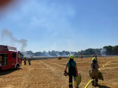 Ein fr&uuml;herer Einsatz der Feuerwehr: Jetzt drohen wieder Fl&auml;chenbr&auml;nde.
