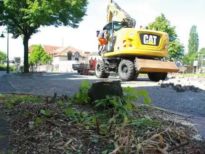Von der Linde vor der Apotheke ist nur noch ein Stumpf zu sehen &ndash; und auch der wird entfernt. Schr&auml;g gegen&uuml;ber, hinter dem Bagger, wurde f&uuml;r die geplante Wendeanlage eine Eiche gef&auml;llt.