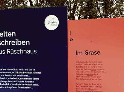 Welten erschreiben: Schautafeln mit Gedichten der west&shy;f&auml;lischen Dichterin Annette von Droste-H&uuml;lshoff