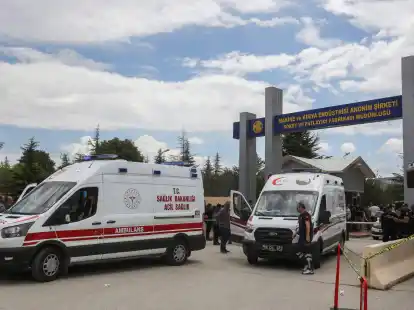 In einer Fabrik f&uuml;r Sprengstoffe kamen bei einer Explosion f&uuml;nf Arbeiter ums Leben.