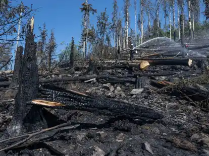 Ein Feuerwehrmann l&ouml;scht Glutnester und wieder auflodernde Flammen bei einem Waldbrand auf dem Altk&ouml;nig im Taunus.