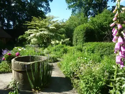Ein Blick in den Garten von Elke und Manfred Meins in Ipwege – auch dieser Garten ist am Sonntag zu sehen.