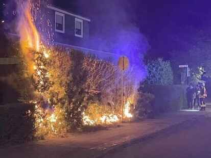 Hecke in Schortens gert in Brand