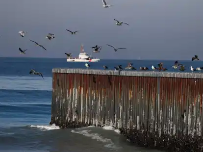 V&ouml;gel auf dem Grenzzaun zwischen Mexiko und den Vereinigten Staaten, wo die Grenze auf den Pazifischen Ozean trifft.