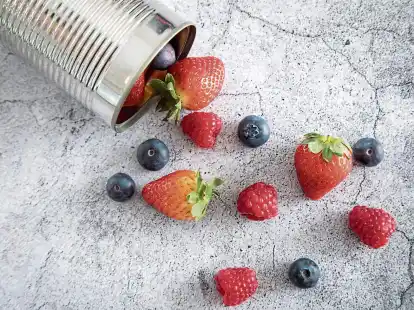 Ob Erdbeeren, Himbeeren oder Heidelbeeren - sie sollten nur kurzfristig aufbewahrt werden. Denn jeder Tag im K&uuml;hlschrank kostet Aroma.