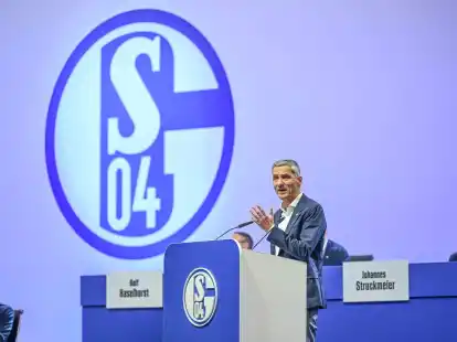 Schalkes Vorstand Bernd Schr&ouml;der h&auml;lt eine Rede.