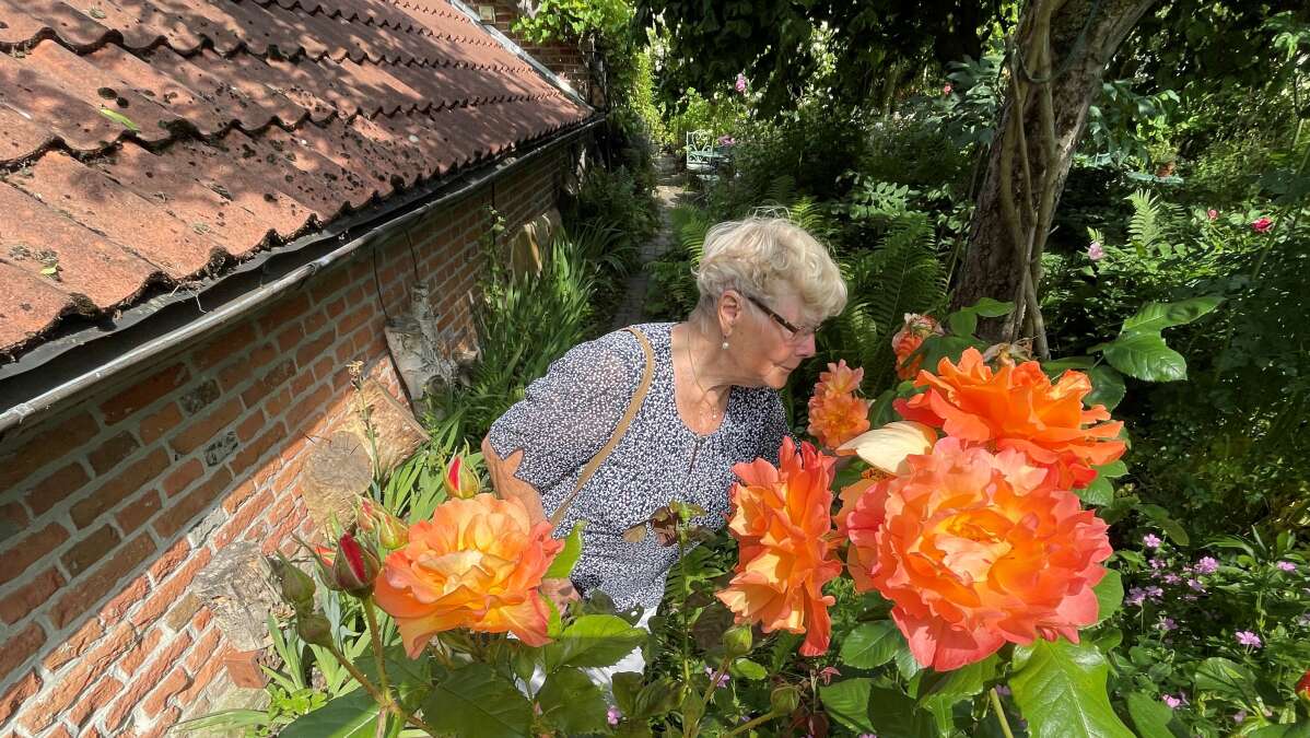 Tage der offenen Gärten 20 Familien laden ein