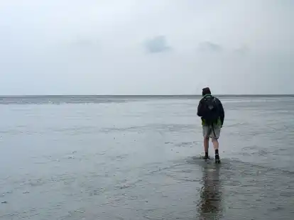Gef&auml;hrlicher Ausflug: Experten raten Laien davon ab, allein ins Watt zu gehen (Symbolbild).
