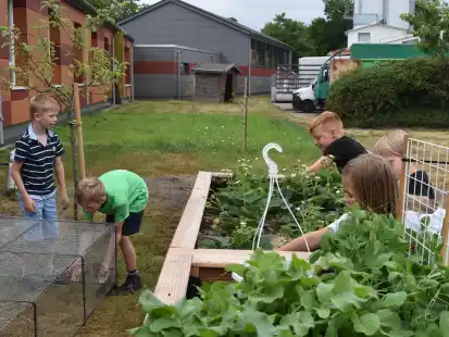 Die Kinder haben viel Spaß an den gärtnerischen Aktivitäten.