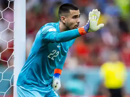 Hat Diogo Costa das Interesse des FC Bayern geweckt?