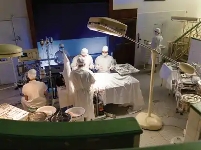 Leidensgeschichte: Mehr als zwei Dutzend Operationen musste sich Inga Eckert unterziehen.