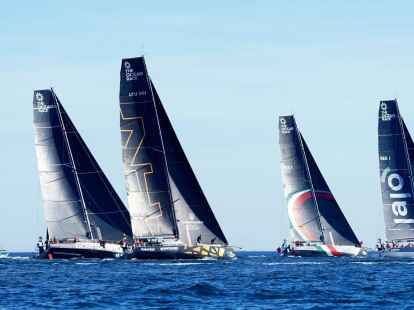 Im Ocean Race haben Orcas zwei Rennyachten angegriffen.
