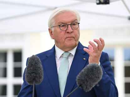 &laquo;F&uuml;r mich ist klar: Es geht um viel mehr als nur darum, Ziele zu beschw&ouml;ren&raquo;: Frank-Walter Steinmeier.