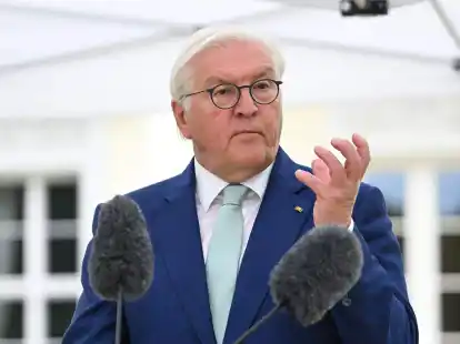&laquo;F&uuml;r mich ist klar: Es geht um viel mehr als nur darum, Ziele zu beschw&ouml;ren&raquo;: Frank-Walter Steinmeier.