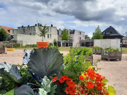 An der Lloydstra&szlig;e, dort, wo die Stadt Nordenham einen Pop-up-Park angelegt hat, soll ein Stadthaus entstehen.