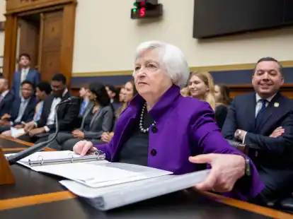 Die US-Finanzministerin Janet Yellen wird nach Peking reisen.