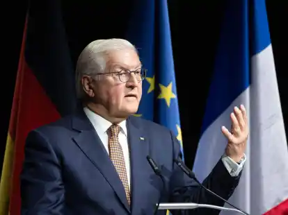 Bundespr&auml;sident Frank-Walter Steinmeier spricht bei den Feierlichkeiten zum 75-j&auml;hrigen Bestehen des Deutsch-Franz&ouml;sischen Instituts in Ludwigsburg.