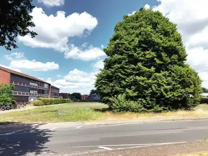 Auf dem ehemaligen Gel&auml;nde einer G&auml;rtnerei zwischen Meeschenstra&szlig;e und Willohstra&szlig;e hinter dem Albertus-Magnus-Gymnasium in Friesoythe will der Landkreis eine Dreifachsporthalle bauen.