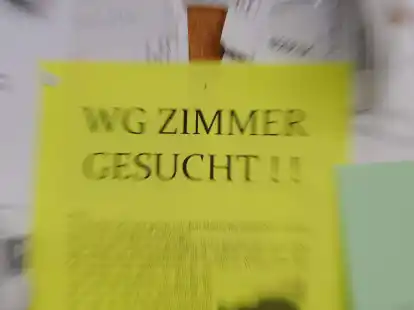 Die Wohnkosten f&uuml;r Studierende steigen: Ein WG-Zimmer kostet aktuell durchschnittlich 458 Euro pro Monat. Das ergab eine Auswertung beim Immobilienportal WG-Gesucht.de.