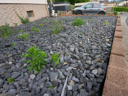 Schotterg&auml;rten sind seit l&auml;ngerem im Visier des Landkreises Friesland, nun zieht die Stadt Varel nach.