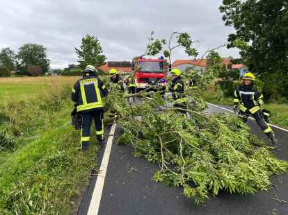 Bei den meisten Eins&auml;tzen mussten umgest&uuml;rzte B&auml;ume von der Stra&szlig;e ger&auml;umt werden.