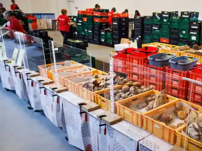 Mitarbeiter stehen in einer Ausgabestelle der Berliner Tafel.