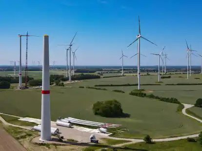 Windr&auml;der in Brandenburg. Bisher k&ouml;nnen die Rotorbl&auml;tter nicht gut wiederwertet werden.