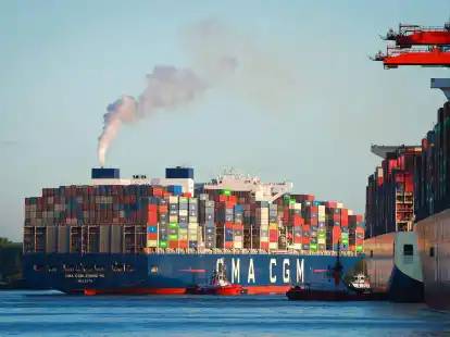 Ein Containerschiff legt im Hamburger Hafen an.