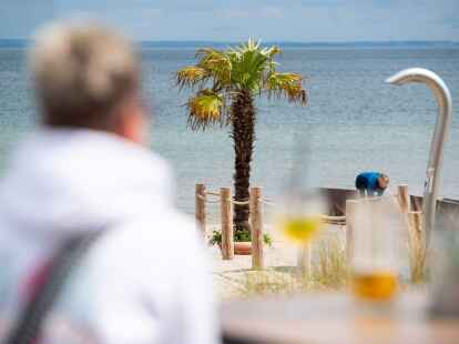 Mallorca oder doch Ostsee? Palmen sollen f&uuml;r mehr Urlaubsgef&uuml;hl sorgen.