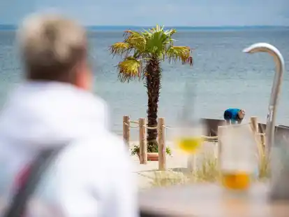 Mallorca oder doch Ostsee? Palmen sollen f&uuml;r mehr Urlaubsgef&uuml;hl sorgen.