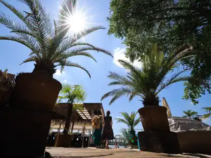 Zwei Freundinnen aus Hamburg gehen mit ihren Sonnenschirmen zum Elbstrand vor dem Strandbad Wedel.