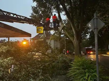 Wie hier an der Hansingstra&szlig;e brachen bei dem Sturm am Sonntagabend  dicke &Auml;ste aus den B&auml;umen und st&uuml;rzten auf die Fahrbahn.