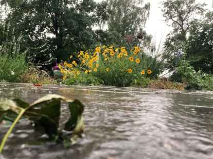 Starkregen macht besonders in S&uuml;dbrookmerland Probleme: Binnen weniger Minuten waren auch am Sonntag Wege, Terrassen und G&auml;rten &uuml;berflutet, bevor das Wasser nach und nach in G&auml;rten und Gr&auml;ben versichern konnte. Nicht &uuml;berall l&auml;uft es so glimpflich ab.