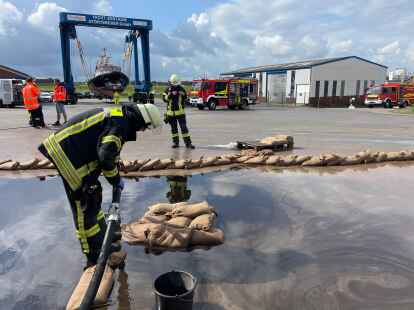 Von einem Werftgel&auml;nde aus gelangte das Alt&ouml;l auch ins Hafenbecken.