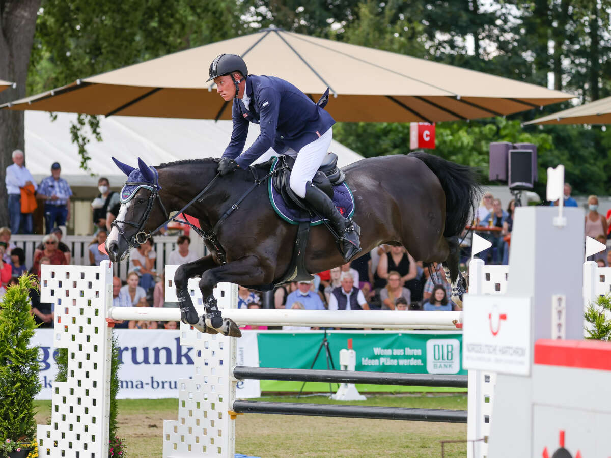 Oldenburger Landesturnier Das sind die wichtigsten Zahlen zum Reitturnier