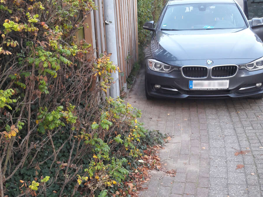 Was Kostet Parken In Dangast www.nwzonline.de